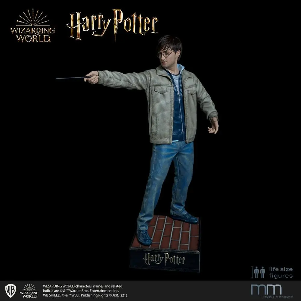 Silicone head for the Harry Potter termékfotó