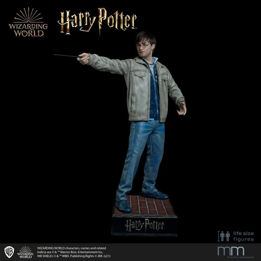 Silicone head for the Harry Potter termékfotó
