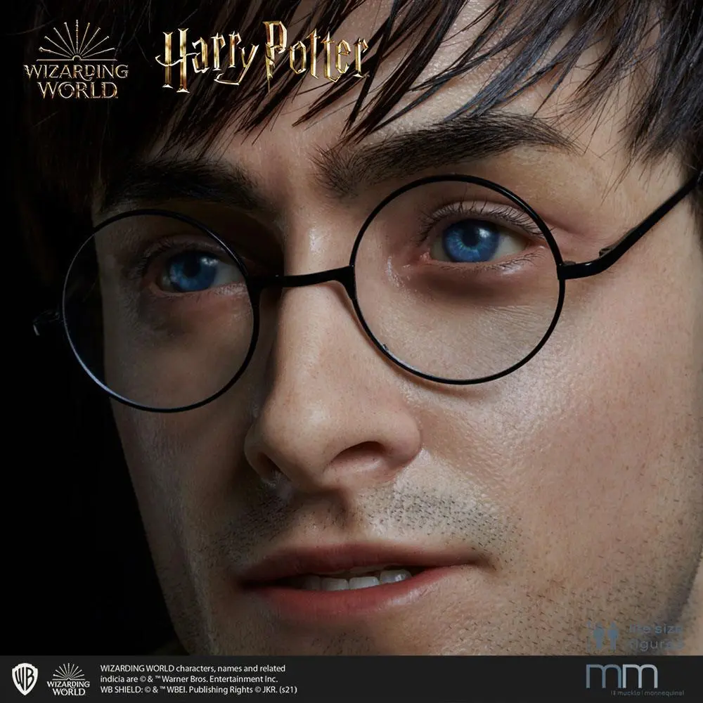 Silicone head for the Harry Potter termékfotó