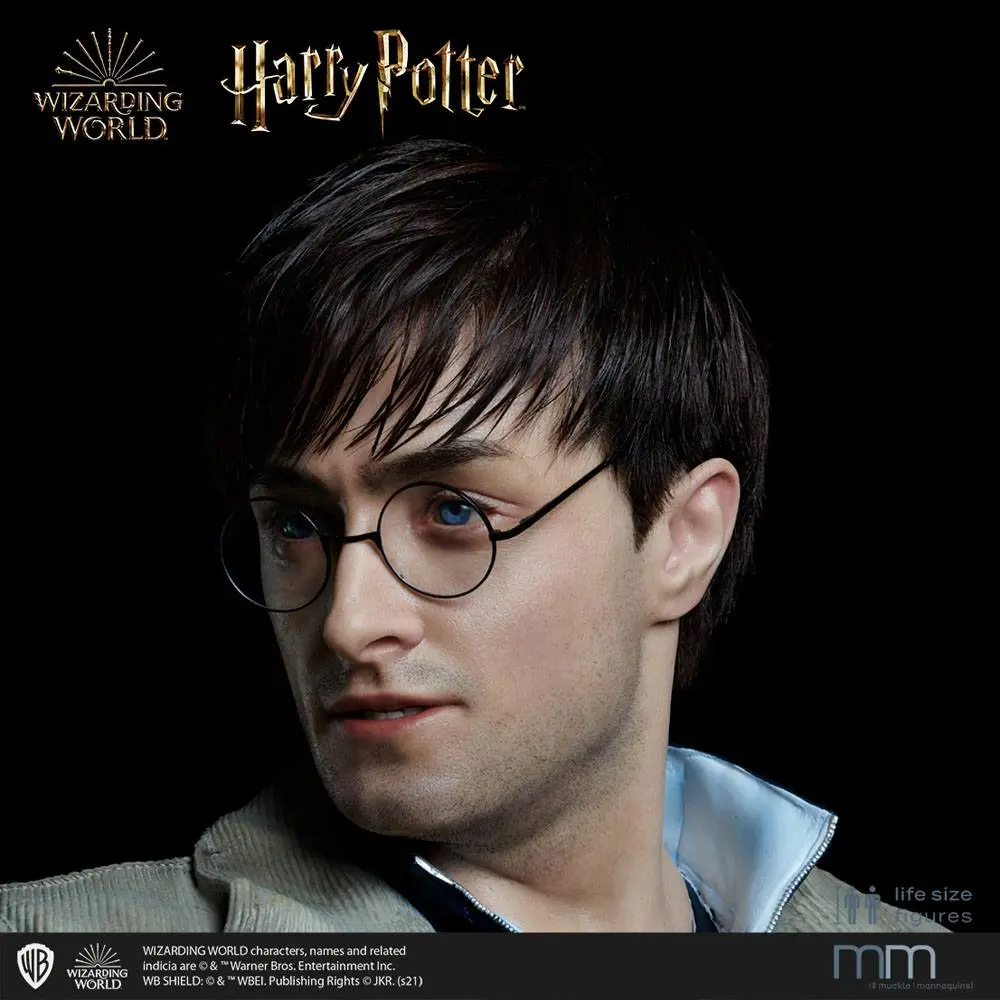 Silicone head for the Harry Potter termékfotó