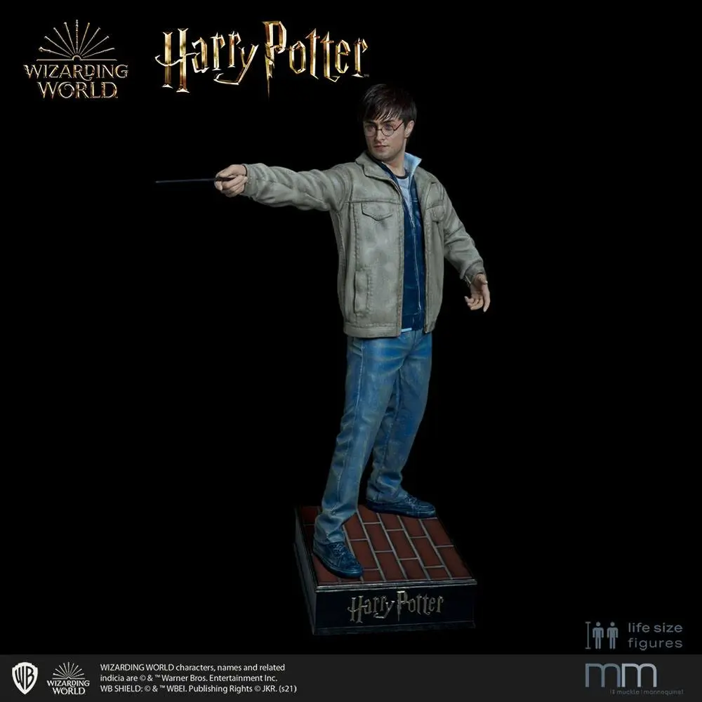 Silicone head for the Harry Potter termékfotó