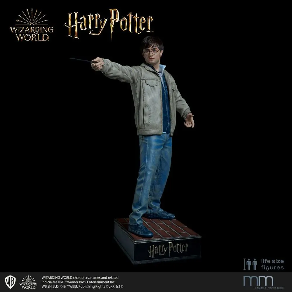Silicone head for the Harry Potter termékfotó
