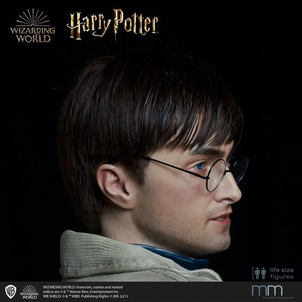 Silicone head for the Harry Potter termékfotó