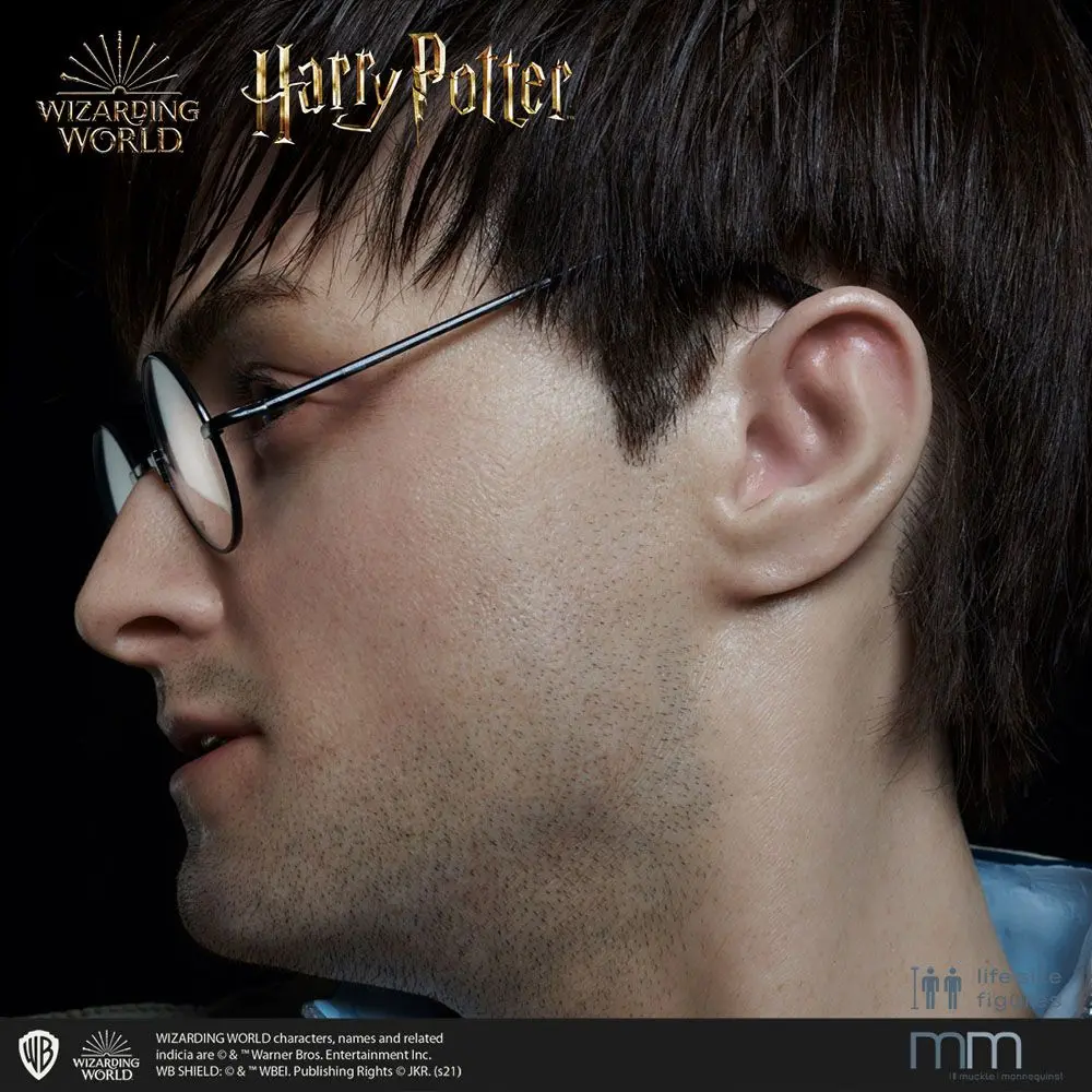 Silicone head for the Harry Potter termékfotó