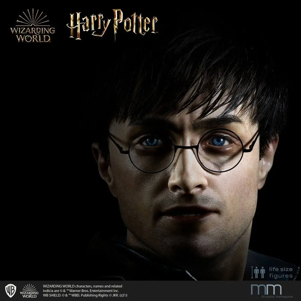 Silicone head for the Harry Potter termékfotó