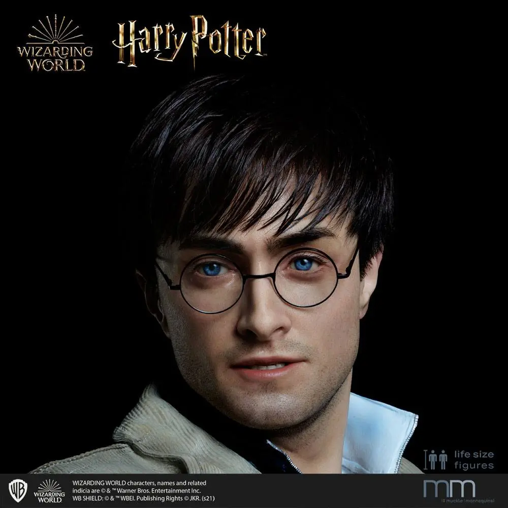 Silicone head for the Harry Potter termékfotó