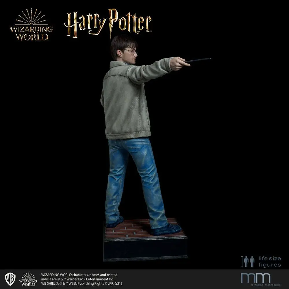 Silicone head for the Harry Potter termékfotó