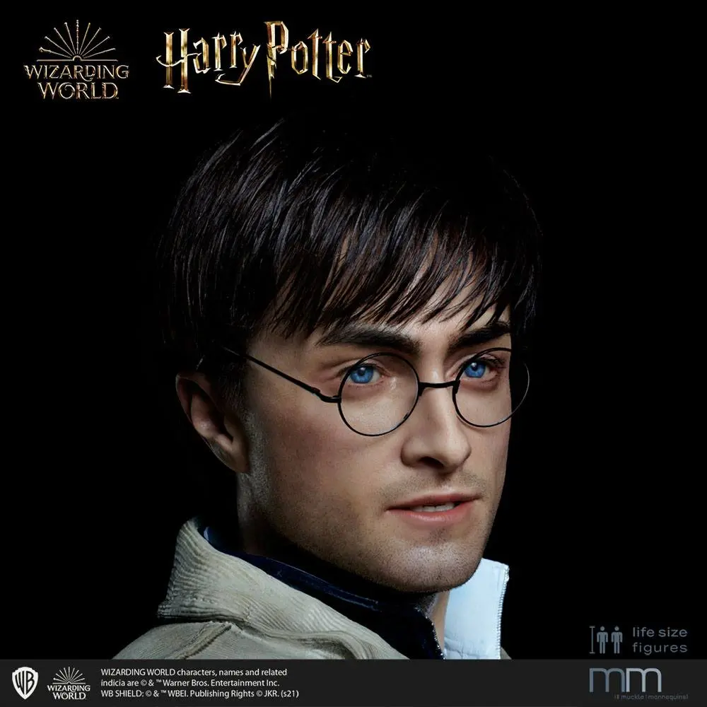 Silicone head for the Harry Potter termékfotó