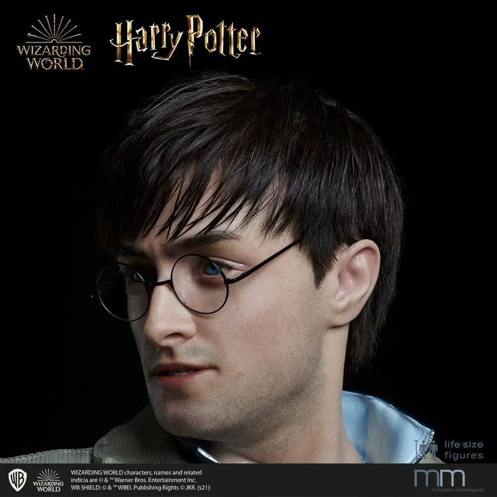 Silicone head for the Harry Potter termékfotó