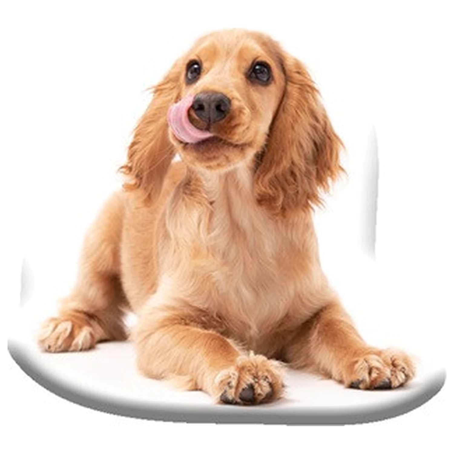 Spaniel formapárna termékfotó