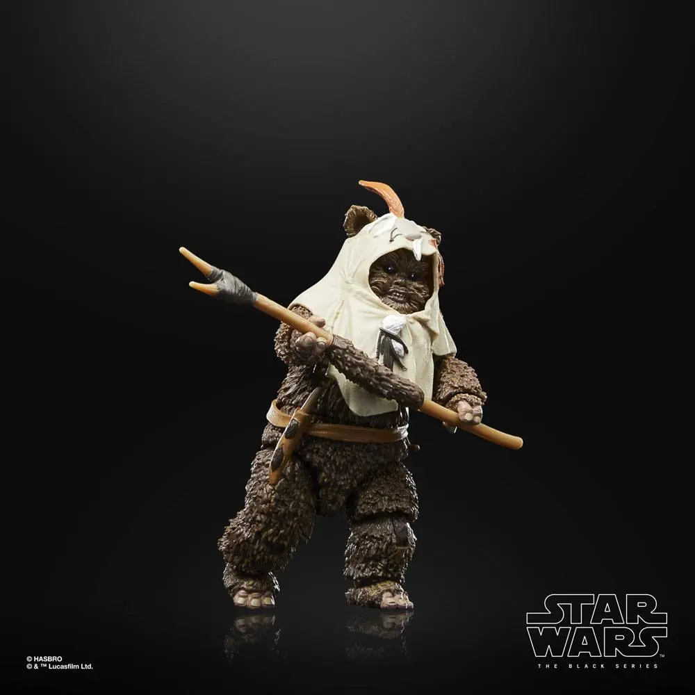 Star Wars Episode VI 40. Anniversary Black Series Paploo akciófigura 15 cm termékfotó