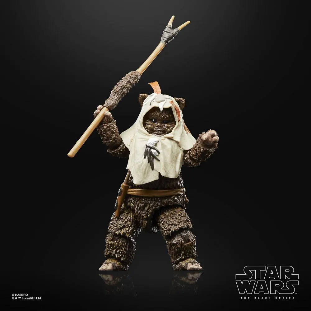 Star Wars Episode VI 40. Anniversary Black Series Paploo akciófigura 15 cm termékfotó