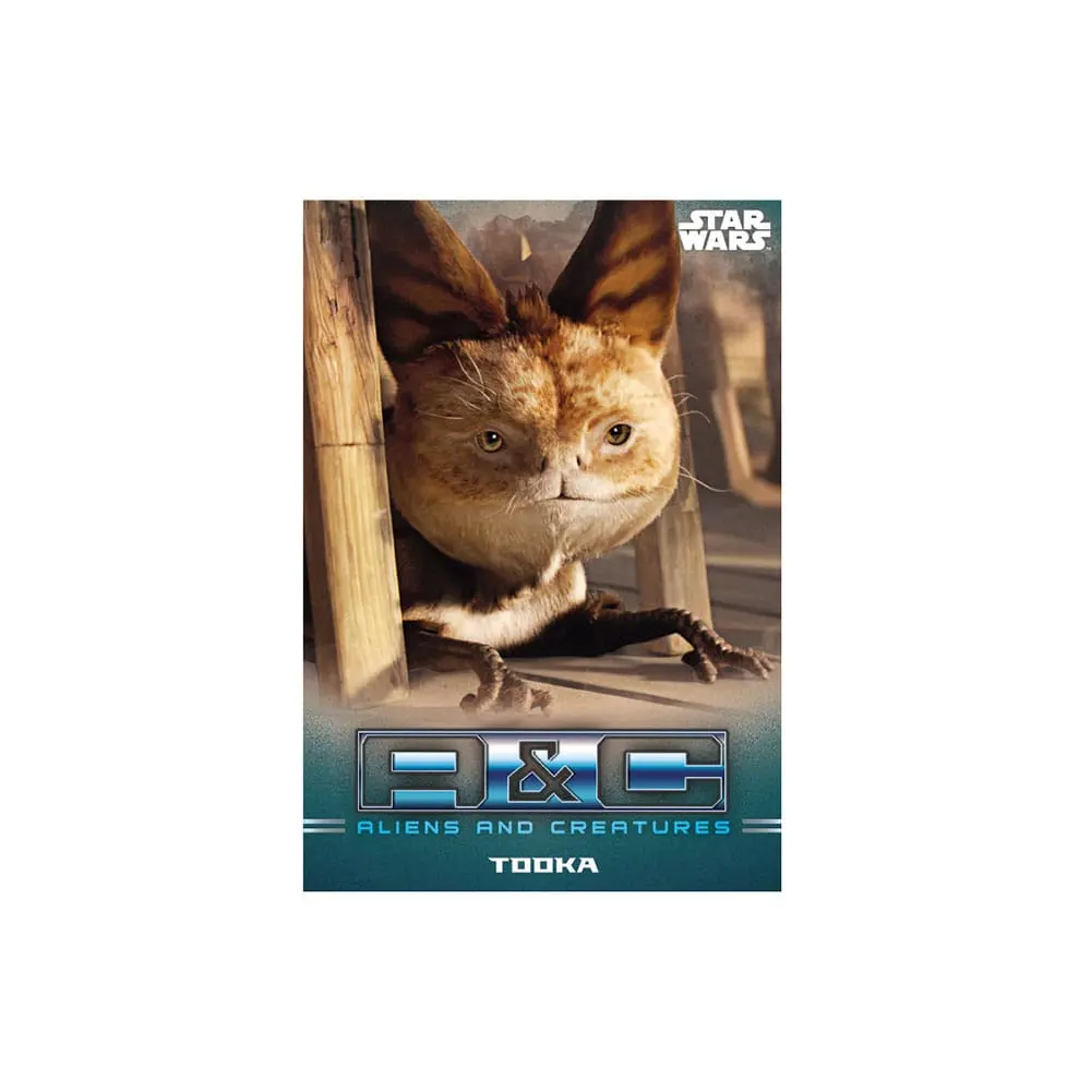 Star Wars: The Mandalorian Trading Cards Starter Pack angol nyelvű termékfotó
