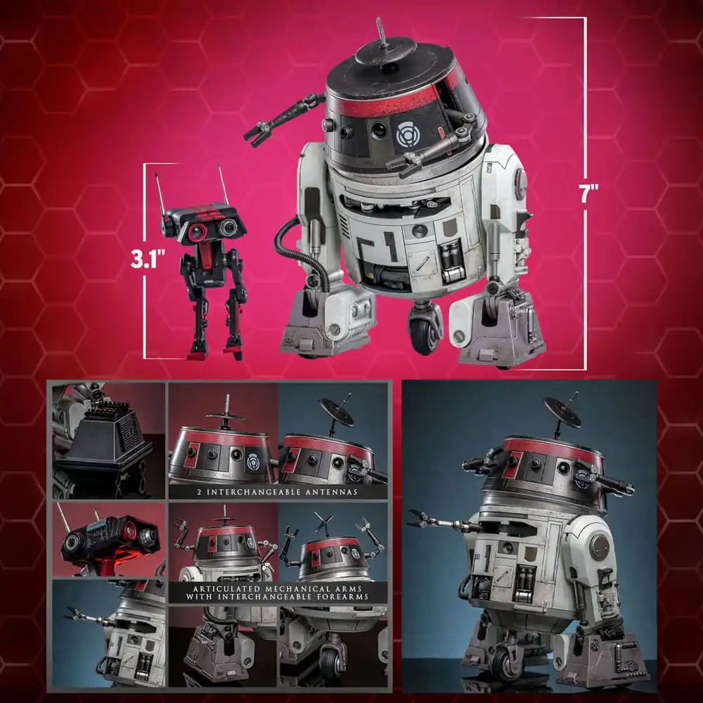 Star Wars1/6 Chopper (C1-10P™) &amp; BD-1™ (Imperial Disguise) akciófigura csomag 18 cm &amp; 8 cm termékfotó