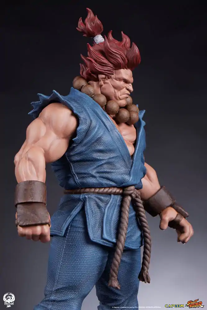 Street Fighter PVC Statues 1/10 Akuma & Dhalsim 21 cm termékfotó