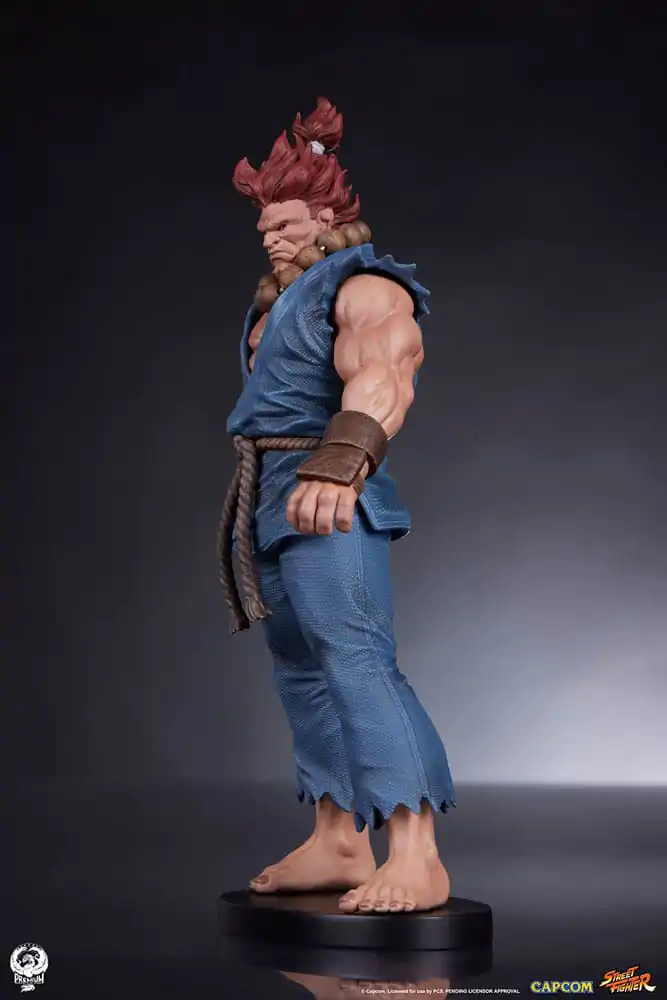 Street Fighter PVC Statues 1/10 Akuma & Dhalsim 21 cm termékfotó