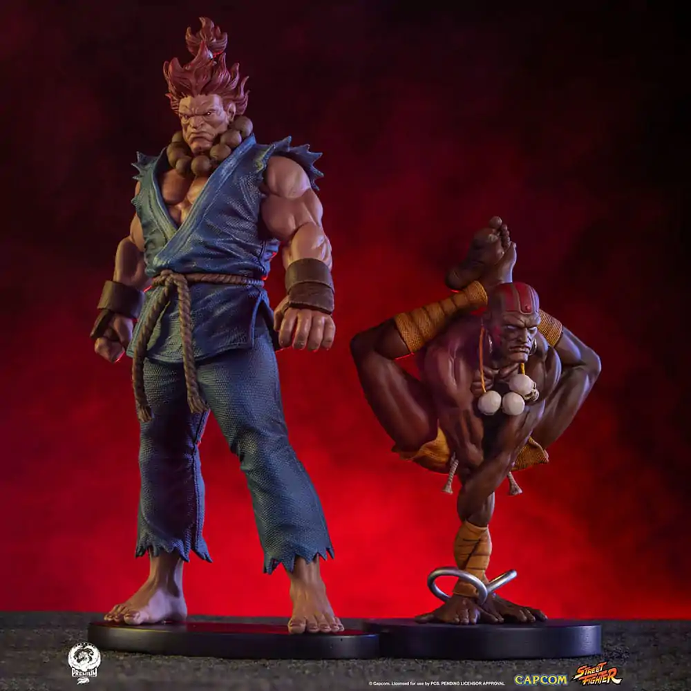 Street Fighter PVC Statues 1/10 Akuma & Dhalsim 21 cm termékfotó