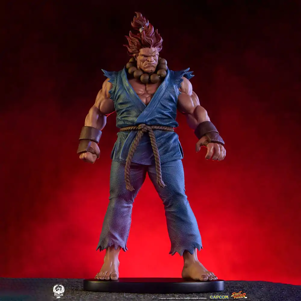 Street Fighter PVC Statues 1/10 Akuma & Dhalsim 21 cm termékfotó