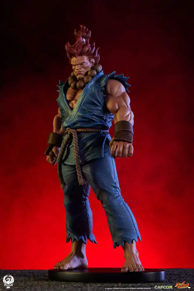 Street Fighter PVC Statues 1/10 Akuma & Dhalsim 21 cm termékfotó