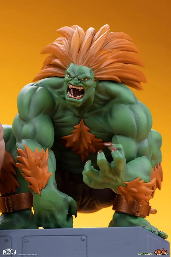 Street Fighter PVC Statues 1/10 Blanka & Fei Long 21 cm termékfotó