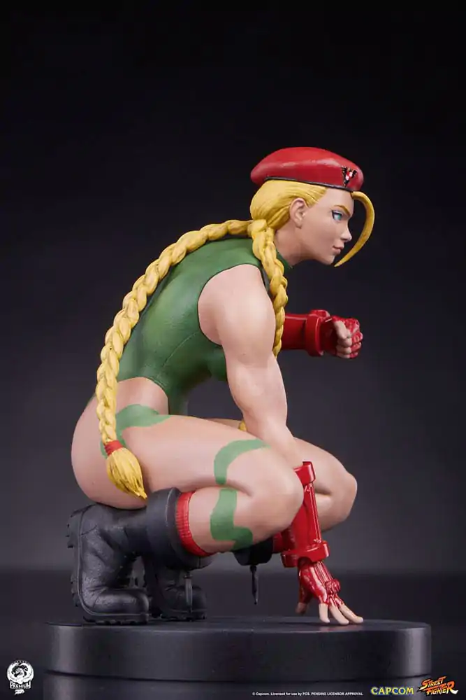 Street Fighter 1/10 Cammy &amp; Birdie PVC szobor figurák 24 cm termékfotó