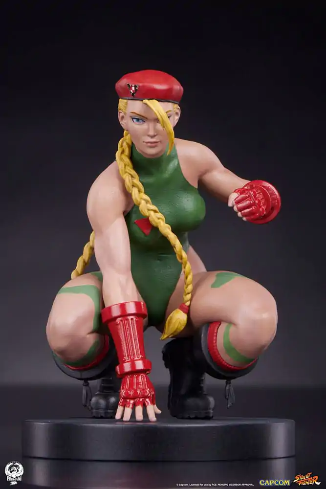 Street Fighter 1/10 Cammy &amp; Birdie PVC szobor figurák 24 cm termékfotó