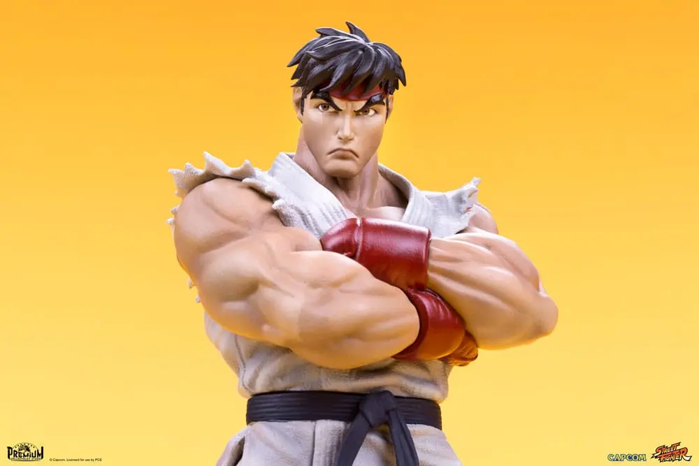 Street Fighter 1/10 Ryu &amp; Dan PVC szobor figurák 18 cm termékfotó