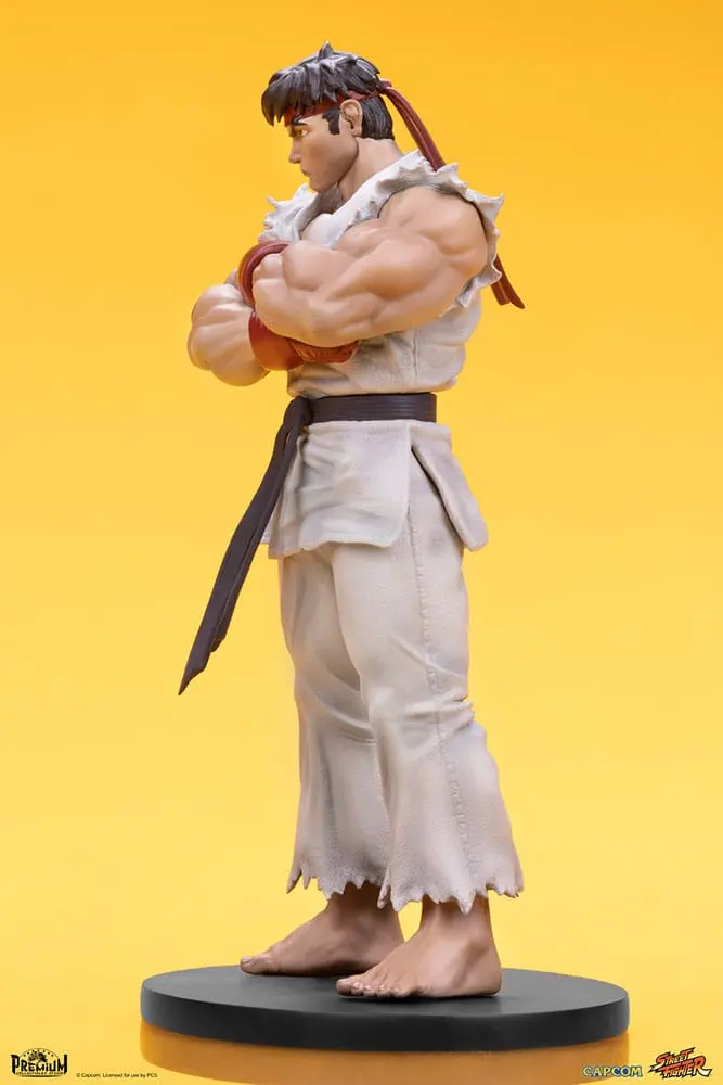 Street Fighter 1/10 Ryu &amp; Dan PVC szobor figurák 18 cm termékfotó