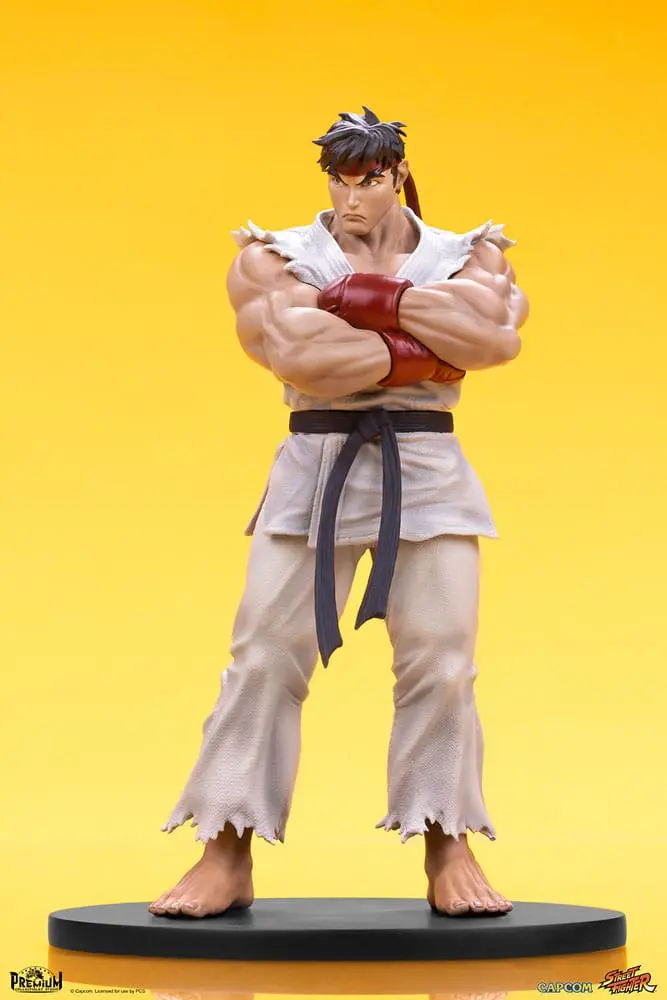 Street Fighter 1/10 Ryu &amp; Dan PVC szobor figurák 18 cm termékfotó