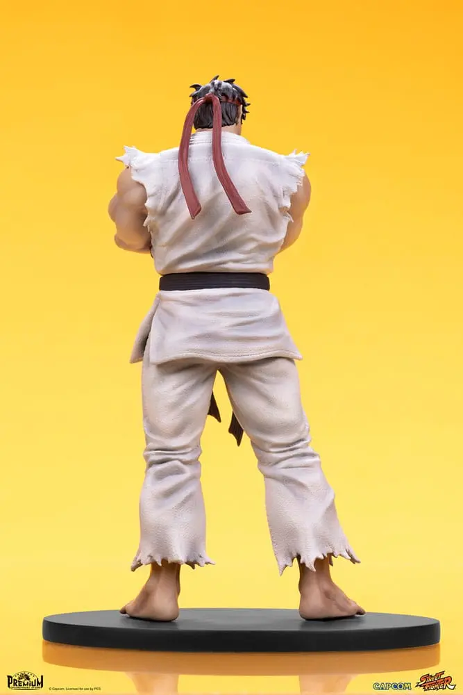 Street Fighter 1/10 Ryu &amp; Dan PVC szobor figurák 18 cm termékfotó