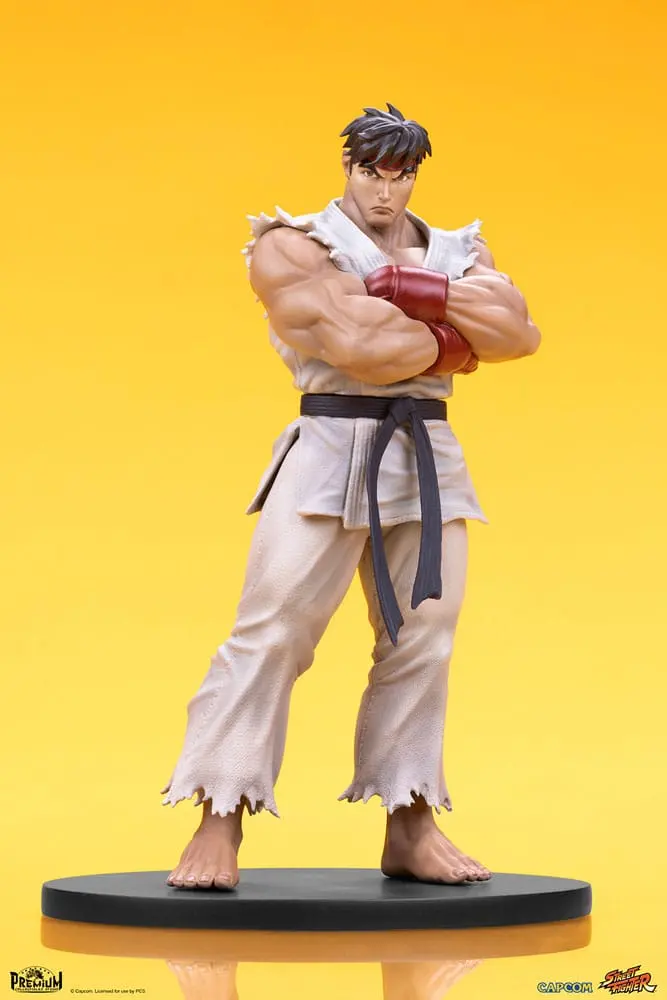 Street Fighter 1/10 Ryu &amp; Dan PVC szobor figurák 18 cm termékfotó