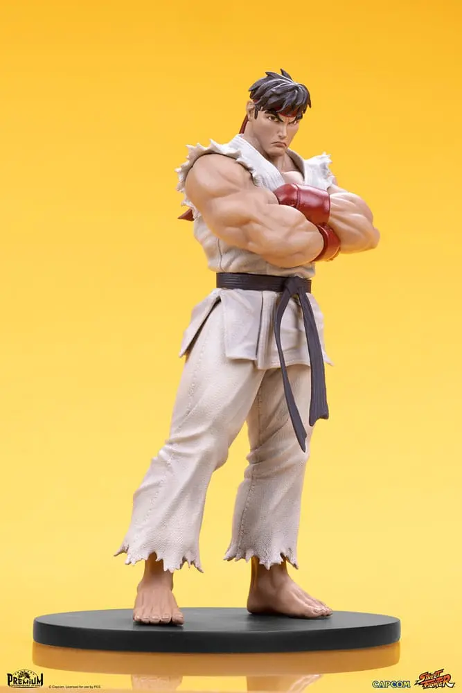 Street Fighter 1/10 Ryu &amp; Dan PVC szobor figurák 18 cm termékfotó