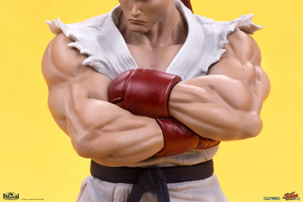 Street Fighter 1/10 Ryu &amp; Dan PVC szobor figurák 18 cm termékfotó