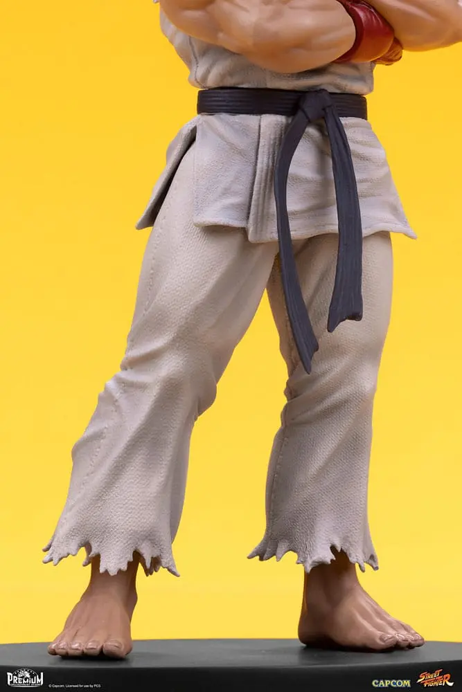 Street Fighter 1/10 Ryu &amp; Dan PVC szobor figurák 18 cm termékfotó