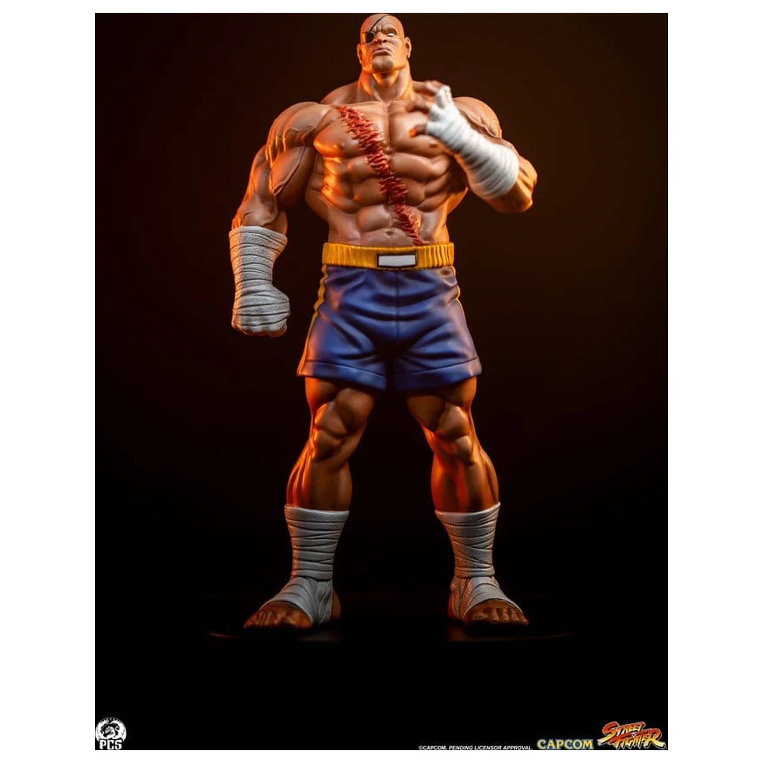 Street Fighter Street Jam 1/10 Sagat & Juli szobor figura 24 cm  termékfotó