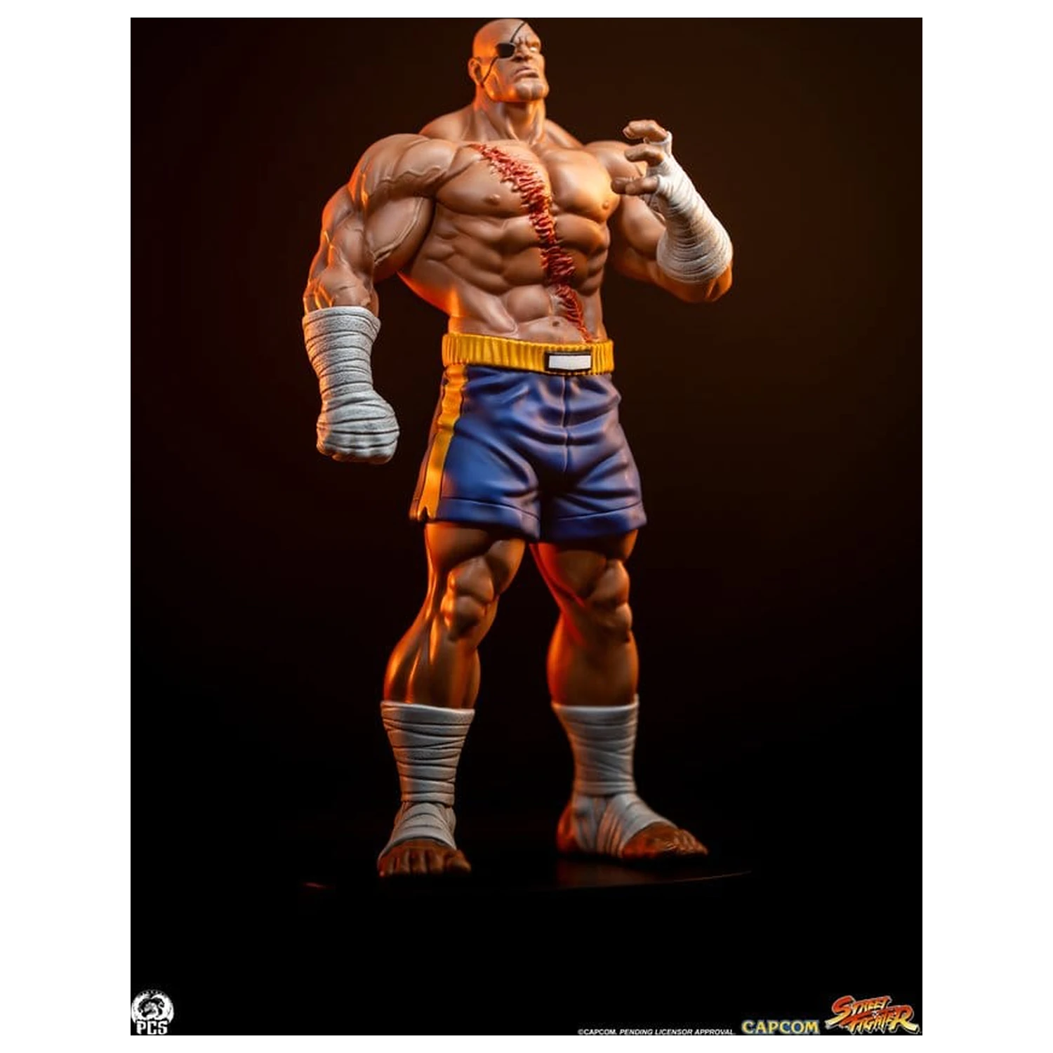 Street Fighter Street Jam 1/10 Sagat & Juli szobor figura 24 cm  termékfotó