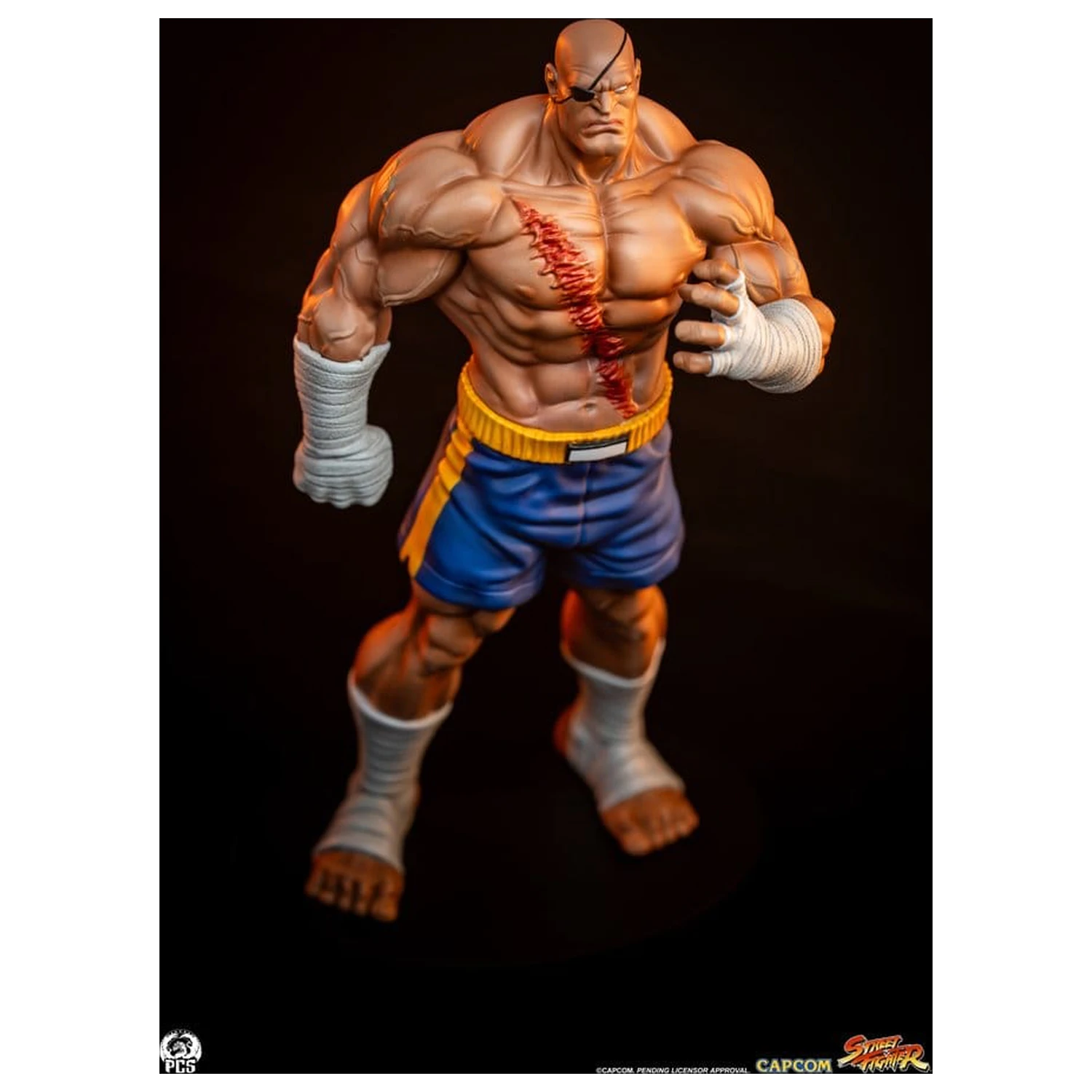 Street Fighter Street Jam 1/10 Sagat & Juli szobor figura 24 cm  termékfotó