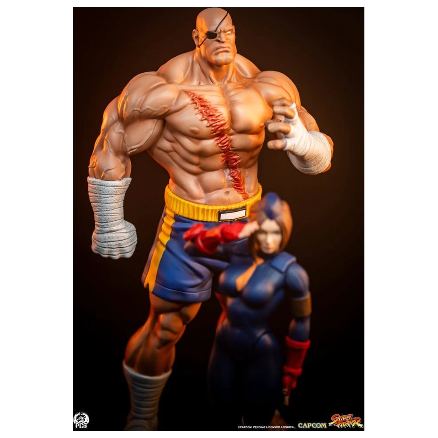 Street Fighter Street Jam 1/10 Sagat & Juli szobor figura 24 cm  termékfotó