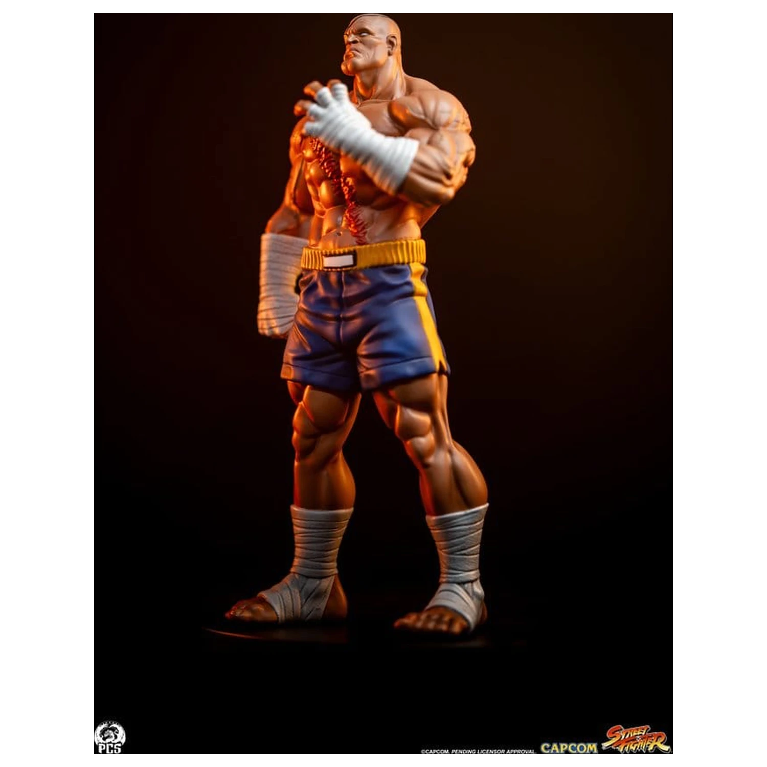 Street Fighter Street Jam 1/10 Sagat & Juli szobor figura 24 cm  termékfotó