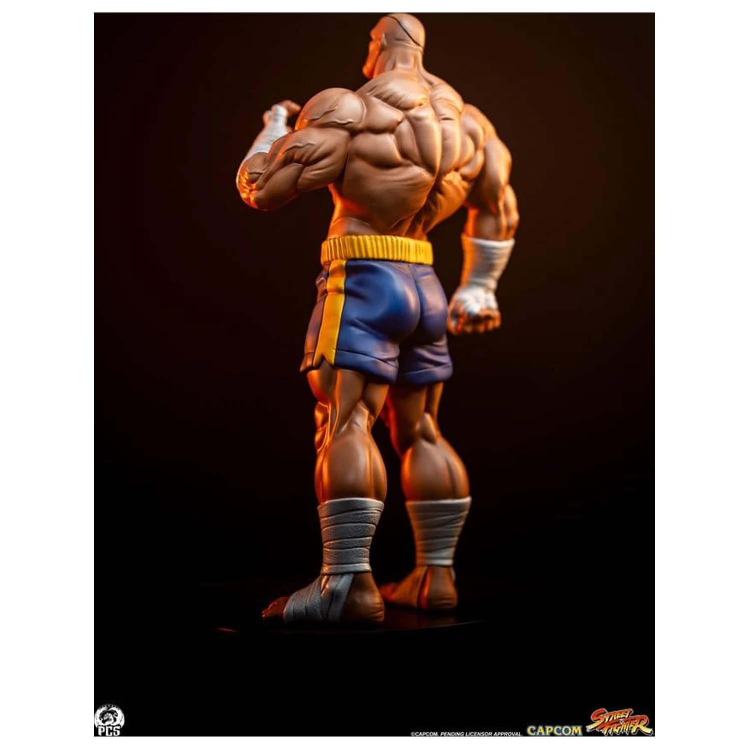 Street Fighter Street Jam 1/10 Sagat & Juli szobor figura 24 cm  termékfotó