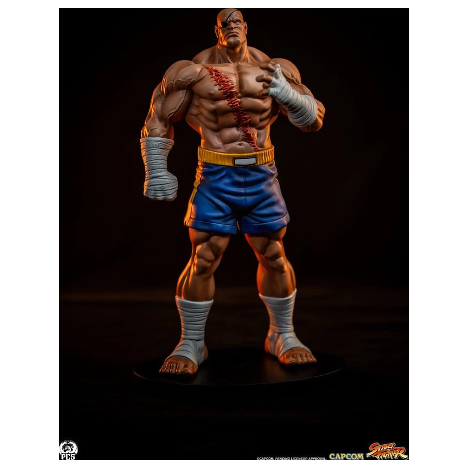 Street Fighter Street Jam 1/10 Sagat & Juli szobor figura 24 cm  termékfotó