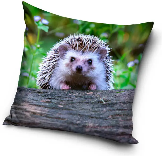 Sün párna, díszpárna 40*40 cm termékfotó