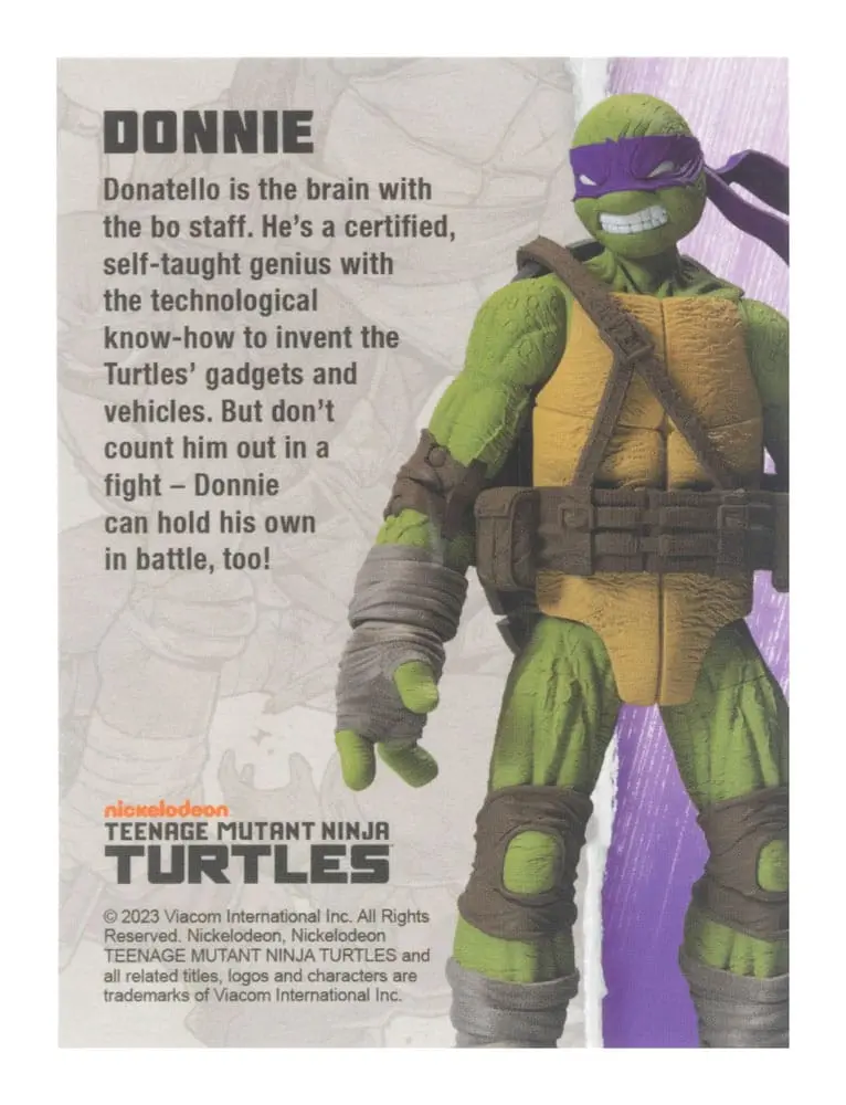 Teenage Mutant Ninja Turtles BST AXN Actionfigur Donatello (IDW Comics) 13 cm termékfotó