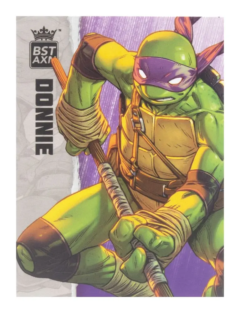 Teenage Mutant Ninja Turtles BST AXN Actionfigur Donatello (IDW Comics) 13 cm termékfotó