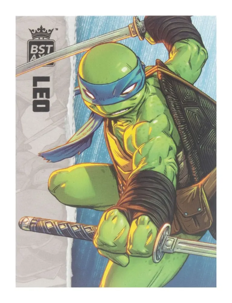 Teenage Mutant Ninja Turtles BST AXN Action Figure Leonardo (IDW Comics) 13 cm termékfotó