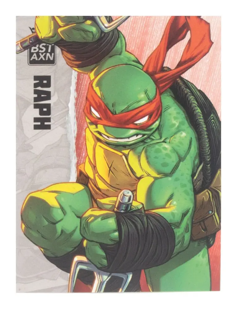 Teenage Mutant Ninja Turtles BST AXN Actionfigur Raphael (IDW Comics) 13 cm termékfotó