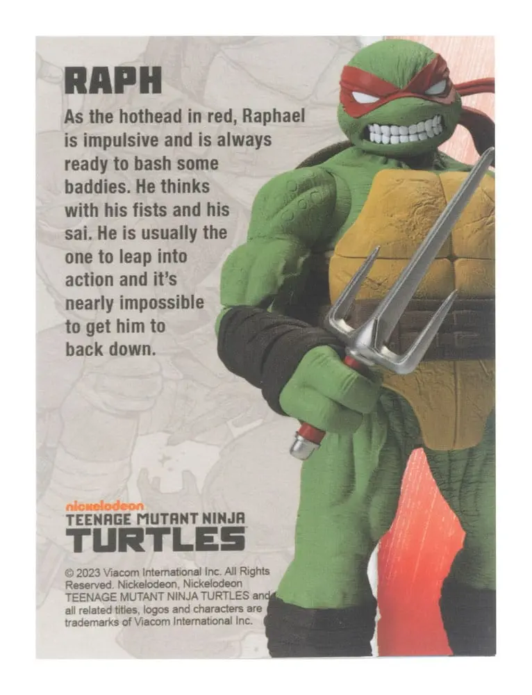 Teenage Mutant Ninja Turtles BST AXN Actionfigur Raphael (IDW Comics) 13 cm termékfotó