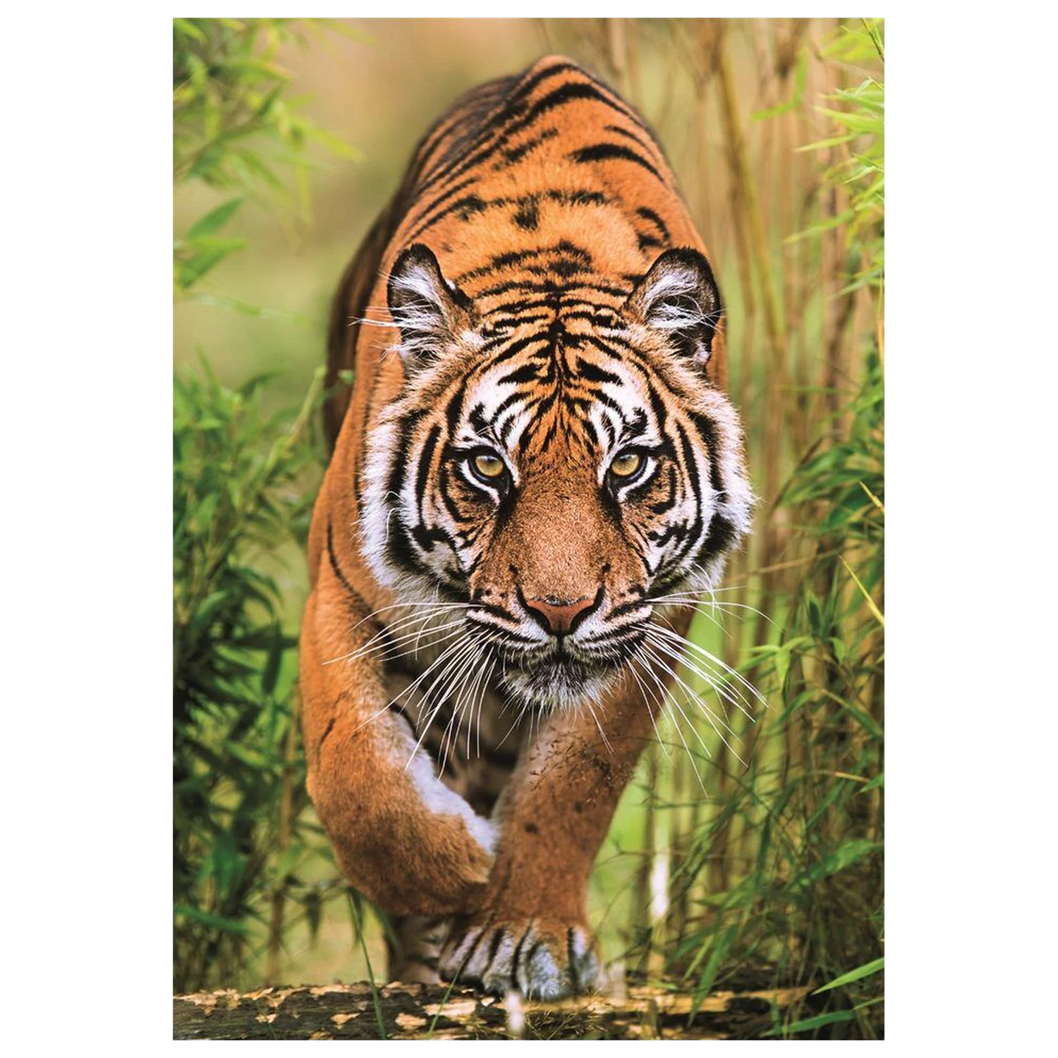 The Hunter's Path puzzle 1000db-os termékfotó