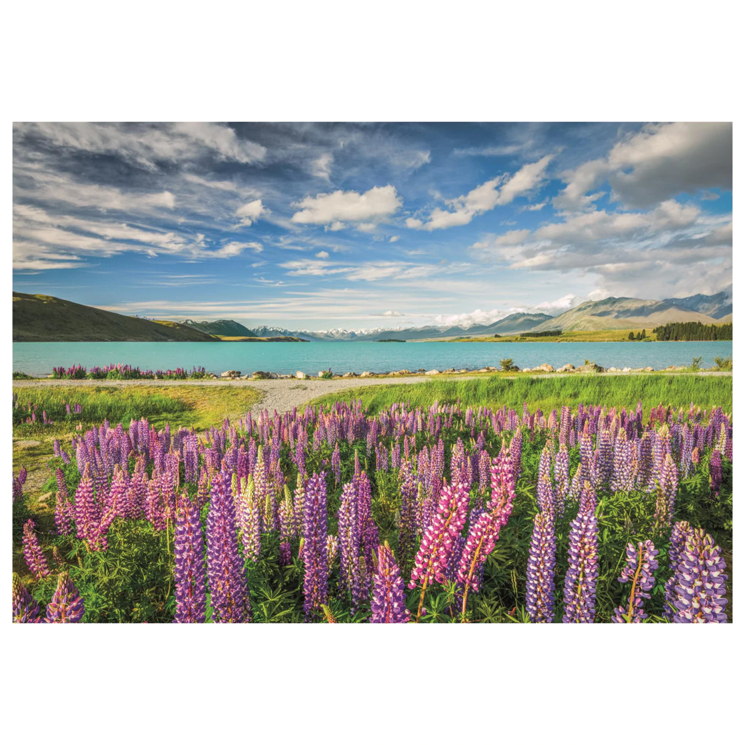 Új-Zéland Lake Tekapo 1500 db-os puzzle  termékfotó