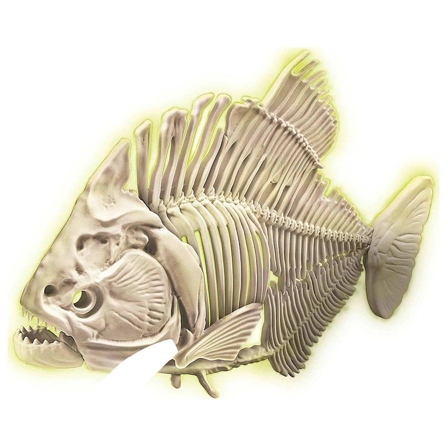Világító piranha Archeo Fun régészeti készlet  termékfotó